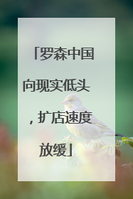 罗森中国向现实低头，扩店速度放缓