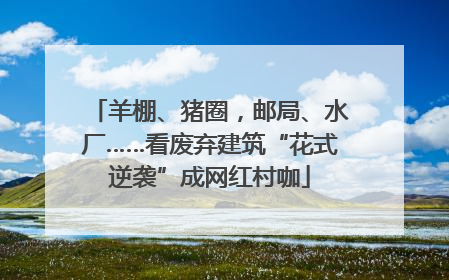 羊棚、猪圈，邮局、水厂……看废弃建筑“花式逆袭”成网红村咖