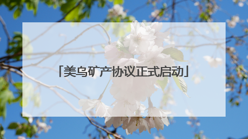 美乌矿产协议正式启动