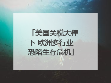 美国关税大棒下 欧洲多行业恐陷生存危机
