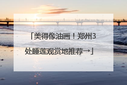 美得像油画！郑州3处睡莲观赏地推荐→