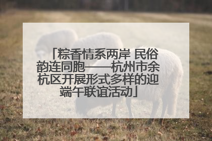 粽香情系两岸 民俗韵连同胞——杭州市余杭区开展形式多样的迎端午联谊活动