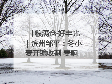 粮满仓·好丰光｜滨州邹平：冬小麦开镰收割 奏响夏日丰收曲