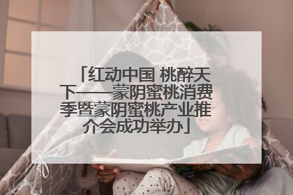 红动中国 桃醉天下——蒙阴蜜桃消费季暨蒙阴蜜桃产业推介会成功举办