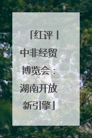 红评丨中非经贸博览会：湖南开放新引擎