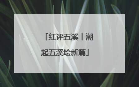 红评五溪丨潮起五溪绘新篇