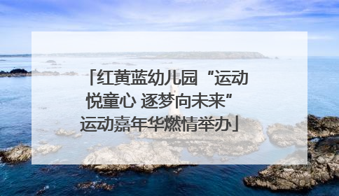 红黄蓝幼儿园“运动悦童心 逐梦向未来”运动嘉年华燃情举办