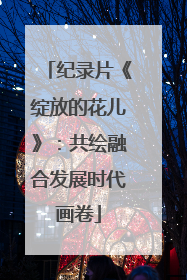 纪录片《绽放的花儿》：共绘融合发展时代画卷