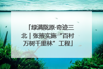 绿满陇原·奇迹三北｜张掖实施“百村万树千里林”工程