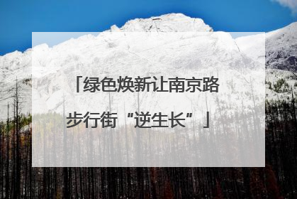 绿色焕新让南京路步行街“逆生长”