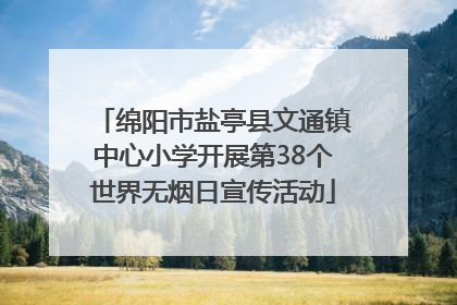 绵阳市盐亭县文通镇中心小学开展第38个世界无烟日宣传活动