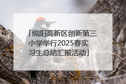 绵阳高新区创新第三小学举行2025春实习生总结汇报活动