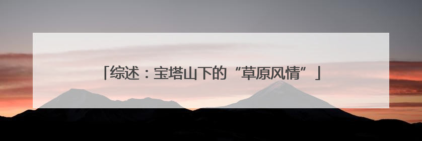 综述：宝塔山下的“草原风情”