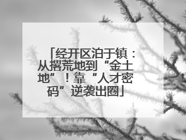 经开区泊于镇：从撂荒地到“金土地”！靠“人才密码”逆袭出圈