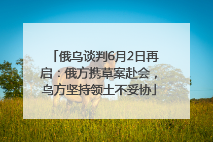 俄乌谈判6月2日再启：俄方携草案赴会，乌方坚持领土不妥协