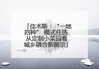 佳木斯：“一地四种” 模式任选 从定制小菜园看城乡融合新图景