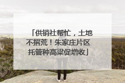 供销社帮忙，土地不撂荒！朱家庄片区托管种高粱促增收