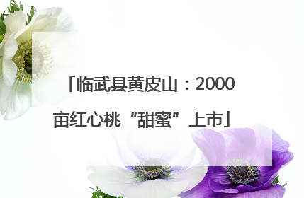 临武县黄皮山：2000亩红心桃“甜蜜”上市