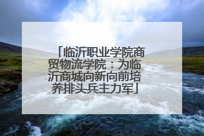 临沂职业学院商贸物流学院：为临沂商城向新向前培养排头兵主力军