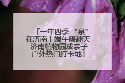 一年四季 “泉”在济南丨端午嗨翻天 济南植物园成亲子户外热门打卡地