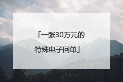 一张30万元的特殊电子回单