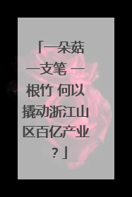 一朵菇 一支笔 一根竹 何以撬动浙江山区百亿产业？