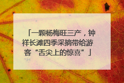 一颗杨梅旺三产，钟祥长滩四季采摘带给游客“舌尖上的惊喜”