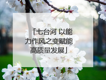 七台河 以能力作风之变赋能高质量发展