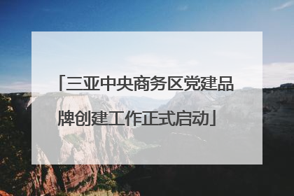 三亚中央商务区党建品牌创建工作正式启动