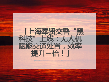 上海奉贤交警“黑科技”上线：无人机赋能交通处置，效率提升三倍！