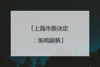 上海市委决定：张鸣履新