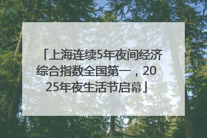 上海连续5年夜间经济综合指数全国第一，2025年夜生活节启幕