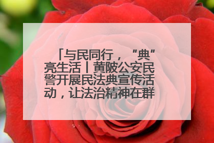 与民同行，“典”亮生活丨黄陂公安民警开展民法典宣传活动，让法治精神在群众心中落地生根