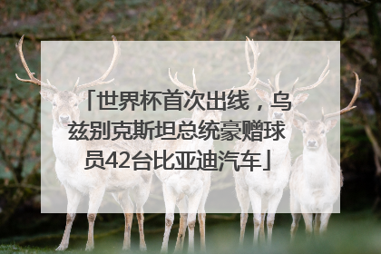世界杯首次出线，乌兹别克斯坦总统豪赠球员42台比亚迪汽车