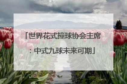 世界花式撞球协会主席：中式九球未来可期