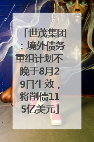 世茂集团：境外债务重组计划不晚于8月29日生效，将削债115亿美元