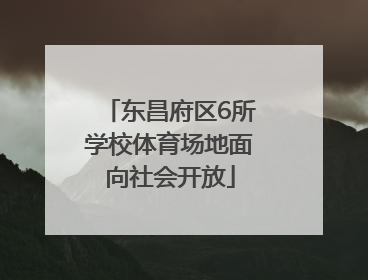 东昌府区6所学校体育场地面向社会开放