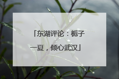 东湖评论：栀子一夏，倾心武汉