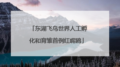 东湖飞鸟世界人工孵化和育雏首例红嘴鸥