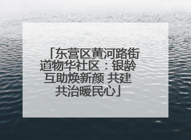 东营区黄河路街道物华社区：银龄互助焕新颜 共建共治暖民心