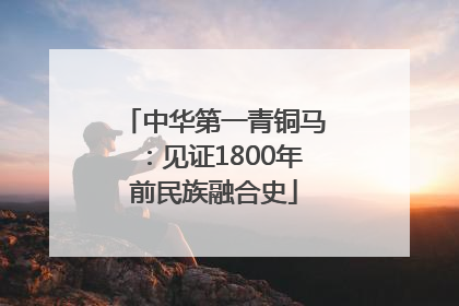 中华第一青铜马：见证1800年前民族融合史