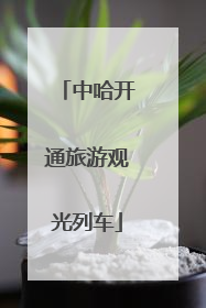 中哈开通旅游观光列车