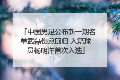 中国男足公布新一期名单武磊伤愈回归 入籍球员杨明洋首次入选
