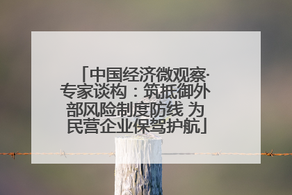 中国经济微观察·专家谈构：筑抵御外部风险制度防线 为民营企业保驾护航