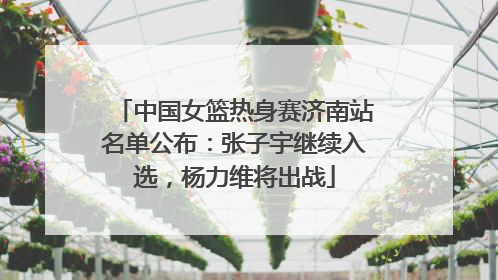 中国女篮热身赛济南站名单公布：张子宇继续入选，杨力维将出战
