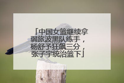 中国女篮继续拿弱旅波黑队练手，杨舒予狂飙三分，张子宇统治篮下