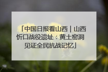 中国日报看山西｜山西忻口战役遗址：黄土窑洞见证全民抗战记忆