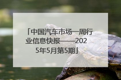 中国汽车市场一周行业信息快报——2025年5月第5期