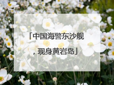 中国海警东沙舰，现身黄岩岛