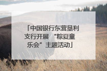 中国银行东营垦利支行开展 “粽夏童乐会”主题活动